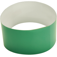 伟文(wewin) BZ-T09-CE[C]/H 60mm*600mm 标签纸 1 盒/盒(计价单位:盒) 绿色