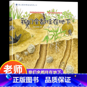 我们都住在地下 [正版]我们都住在地下 幼儿园绘本书阅读3-4-6岁 儿童科普读物科学启蒙睡前故事书 老师三到四五岁宝宝