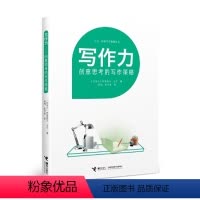 [正版]接力出版社阅读写作策略丛书 写作力 创意思考的写作策略 儿童教辅书籍 写作能力提升书籍 小学生课外阅读书