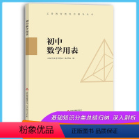[正版] 初中数学用表 数学概念公式定律术语图表手册 初中数学定律公式定理速查 公式定理基础知识大全 中考总复习辅