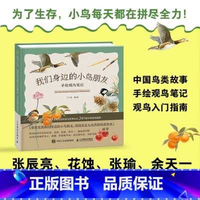 我们身边的小鸟朋友:手绘观鸟笔记 青少年少儿科普读物 课外读物 鸟类科普图鉴 手绘插画 [正版]出版社我们身边的小鸟朋友
