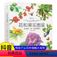 [热卖-咨询优惠]花和果实图鉴 全8册 [正版]花和果实图鉴 全八册 150多种树木入手 带你认识 接触大自然 精美工笔
