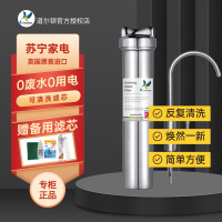 道尔顿(Doulton)家用净水器直饮厨房过滤器 大流量厨下净水机矽藻陶瓷可清洗DIS不用电无废水