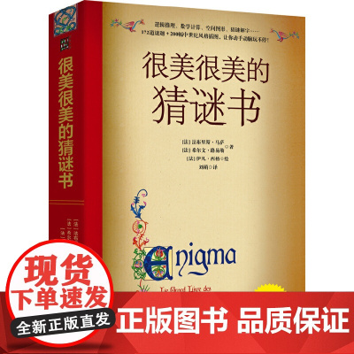 很美很美的猜谜书(升级版)10-12-15岁初中小学生益智打谜语课外读物书籍提高数学空间逻辑思维能力解字开发脑力创造力