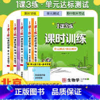 语数英[北京专版3本] 八年级上 [正版]任选北京版一课三练课时训练语文数学英语地理政治生物七八九年级上下册初一二初三1