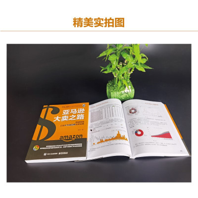 亚马逊大卖之路:跨境电商打造千万级品牌实操宝典(全彩)