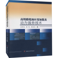 音像高填路堤预应变加筋及动力强夯技术匡希龙,雷鸣,蒋建清
