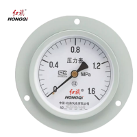 红旗 压力表轴向带边定制检测款Y150ZT (压力值需备注) 块