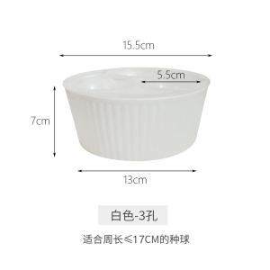 [补贴10%]郁金香种球专用水培花盆风信子洋水仙种子三孔五孔懒人花盆器皿 1套