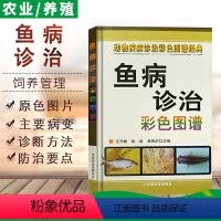[正版]全彩版鱼病诊治彩色图谱养鱼技术书养鱼书籍鱼病书籍鱼病防治鳝鱼淡水鱼鲈鱼黄骨鱼草鱼养殖技术鱼病图谱常见鉴别诊断*