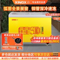 星星(XINGX)SD/SC-246SY 246升冰柜商用冷藏展示柜雪糕柜饮料柜 冷藏冷冻转换卧式展示柜 雪糕柜大容量