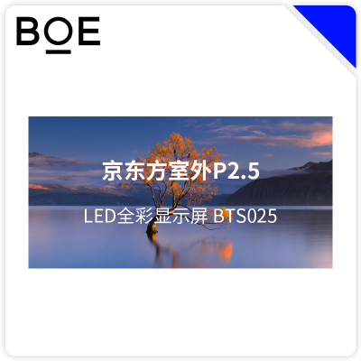 BOE 京东方室外LED显示屏 BTS025 块
