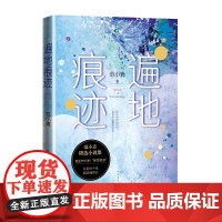 遍地痕迹 范小青 人民文学出版社 正版书籍