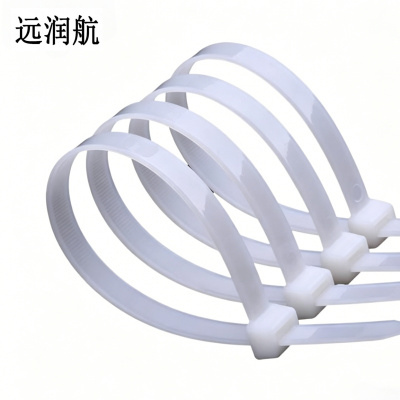 远润航 尼龙扎带 5*250 100根 包