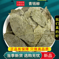 甄选青钱柳叶100克正品货青钱柳古树搭牛蒡玉米须桑叶9260