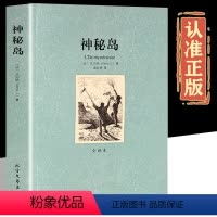 神秘岛 [正版]神秘岛 凡尔纳著全译本完整中文版 外国世界经典文学名著小说故事原版 初中生高中生课外阅读书籍 书排行