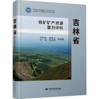 音像吉林省铁矿矿产资源潜力评价松权衡等编著