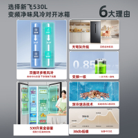 新飞(Frestec)530升双开门冰箱大容量超薄冰箱对开门风冷无霜一级能效家用PFD除菌电冰箱BCD-530WK9CT