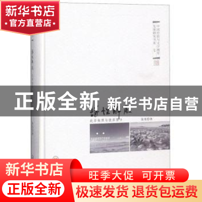 正版 诗性解蔽:此岸烛照与彼岸原乡:文学湘军的个性追求 聂茂 中