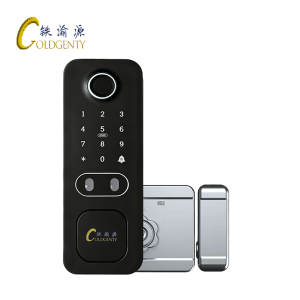 铁渝源 防水指纹人脸识别锁 GT-F430 把
