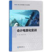 正版新书]会计电算化实训王节云9787567016620