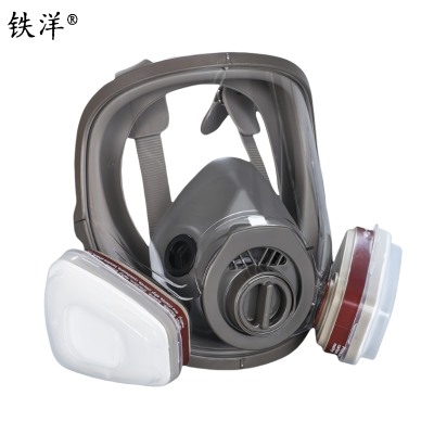铁洋 呼吸防护面罩 TY-HX012 套