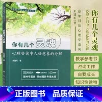 [正版] 你有几个灵魂 心理咨询中人格意象的分解 意象对话心理学系列我是谁 意象对话 朱建军著 人民卫生出版社