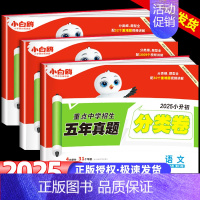 语数英❤基础知识 小学升初中 [正版]2025新版万唯小白鸥原创小升初招生分类卷语文数学英语重点中学五年真题试卷集锦四五