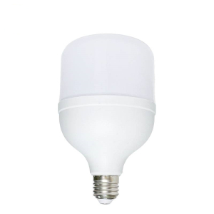 照立方 CHAOLEEFONG 灯泡 10W E27螺口 个