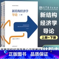 [正版]新结构经济学导论 上下册 林毅夫 付才辉 高等教育出版社