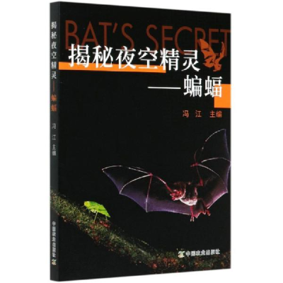 正版新书]揭秘夜空精灵--蝙蝠编者:冯江|责编:周锦玉//王森鹤978