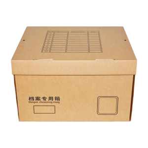 优彩嘉 加大档案专用箱 450*345*250mm D-116 单位:个