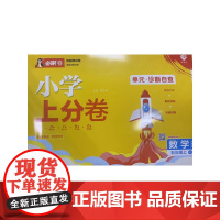 2025版理想树小学上分卷 五年级上册 数学 阶段检测巩固提分 苏教版