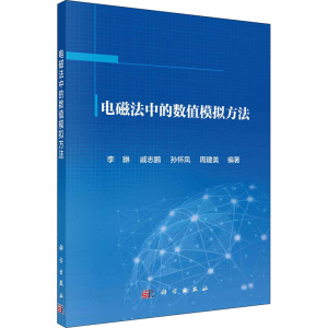 电磁法中的数值模拟方法