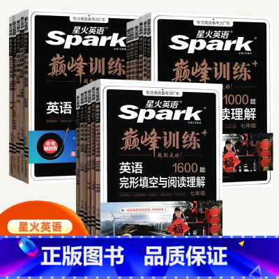 全套6本 九年级/初中三年级 [正版]2025版英语巅峰训练初中英语专项七八九年级完形填空与阅读理解听力词汇语法组合训练