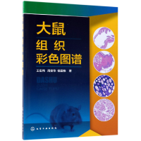 音像大鼠组织彩色图谱王宏伟,周变华,杨国栋著
