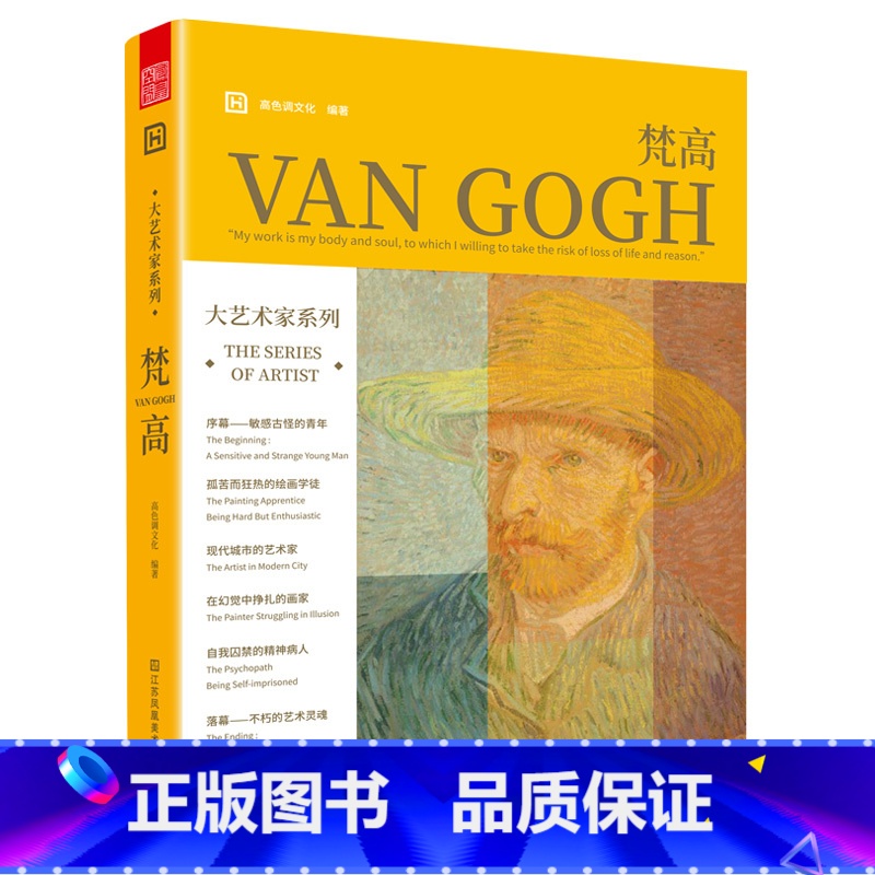[正版]大艺术家系列 梵高VAN GOGH 解读梵高的创作人生 生活故事 绘画创作历程 37封书信 大师人生传记 绘画