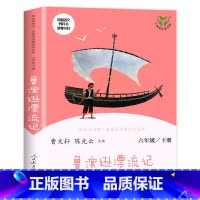 鲁滨逊漂流记 下册 [正版]六年级下册快乐读书吧人民教育出版社尼尔斯骑鹅旅行记汤姆索亚历险记鲁滨逊漂流记全套6册小学生课