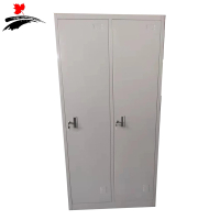 丰叶卓邦 两门更衣柜 储物柜FY-XLMGYG3513T 个
