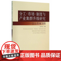 分工·市场·制度与产业集群升级研究:以山东为例 马中东 中国社会科学出版社 正版书籍