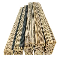 贝策 竹踏板 竹架板竹跳板 250*2900mm 个