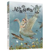 正版新书]我爱读经典?尼尔斯骑鹅旅行记塞尔玛·拉格洛芙97875589