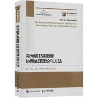 正版新书]高光谱卫星图像协同处理理论与方法张兵9787115526403