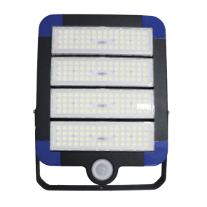 鼎晟丰(DSF)DSFGZ-936T-200 AC110-240V 200W IP66 LED LED智睿全维智能泛光灯 (计量单位:个) 黑色