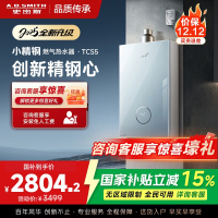 史密斯佳尼特[小精钢TCS5]16升精钢燃气热水器 国家补贴 JSQ31-TCS5 安全守护 持久恒温大水量 新品
