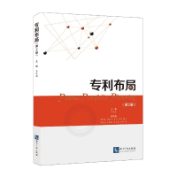 音像专利布局(第2版)马天旗