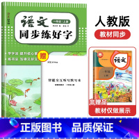 [1上]语文同步练好字 小学通用 [正版]2024秋人教版小学同步练字帖一年级二年级三年级四年级五六年级上册下册字帖练字