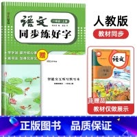 [1上]语文同步练好字 小学通用 [正版]2024秋人教版小学同步练字帖一年级二年级三年级四年级五六年级上册下册字帖练字