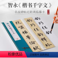 [正版]御字轩 隋 智永楷书千字文 共2卷 单字放大原帖名家碑帖近距离临摹卡 临读对照