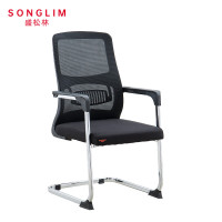 盛松林 办公椅 550*600*1020mm 把